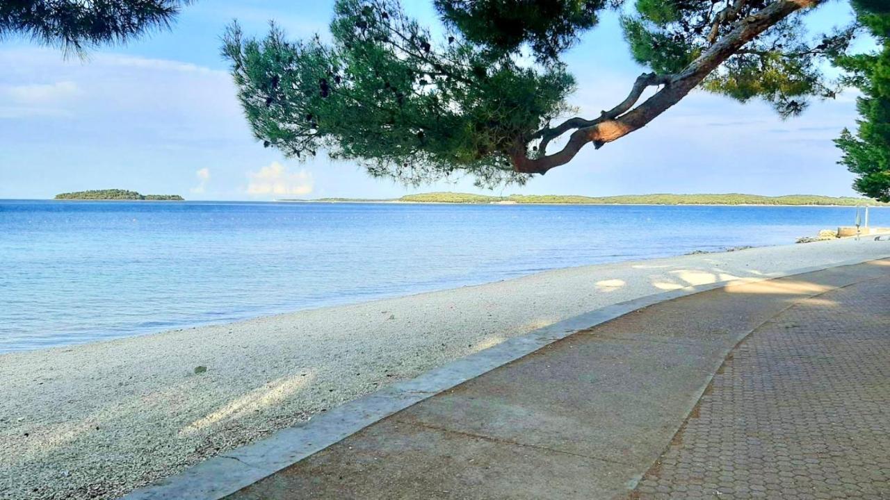 Apartman Dino Fažana Dış mekan fotoğraf